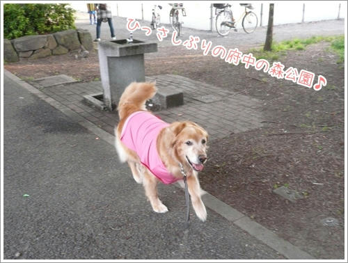 ひっさしぶり。