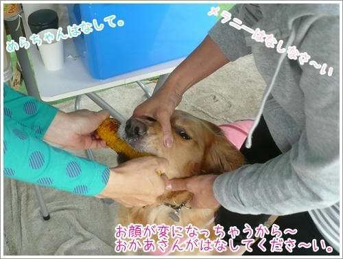 はなして～