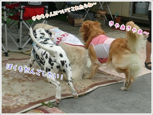 ついてこれたら～