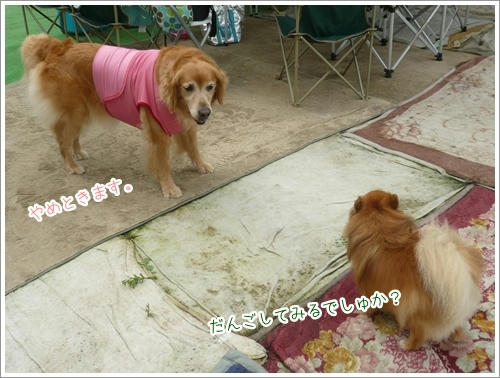 きけんね。