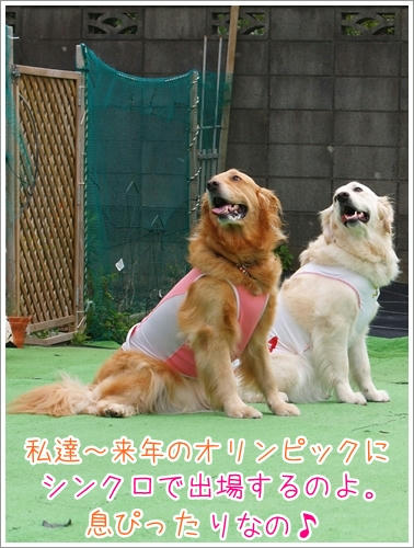 シンクロ