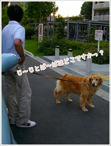 はいれないの。