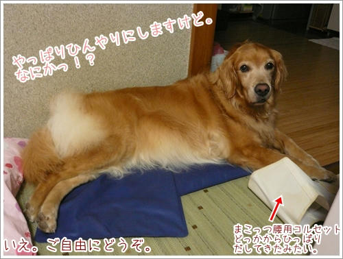 やっぱとひんやり。