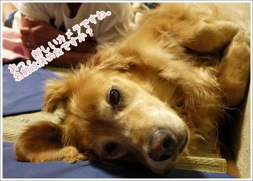 名前は決めたですか？