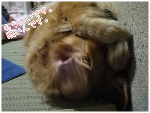 眠いんですよ！