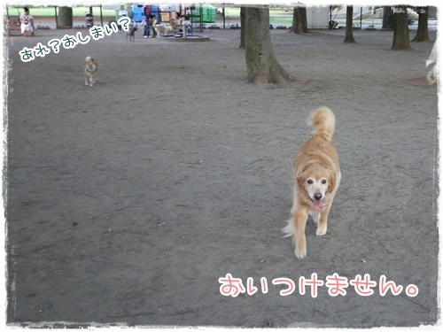 おいつけない