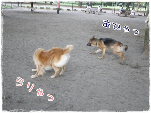 うりゃっ