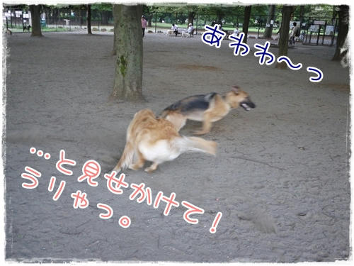 とみせかけて