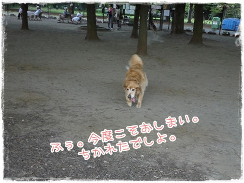 今度こそおしまい
