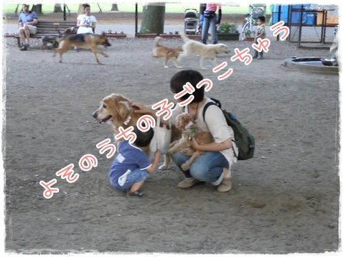 ごっこ