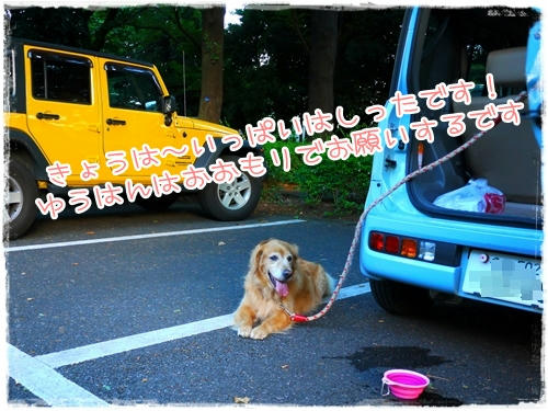 おおもり