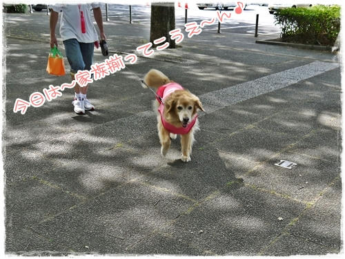 かぞくそろって♪