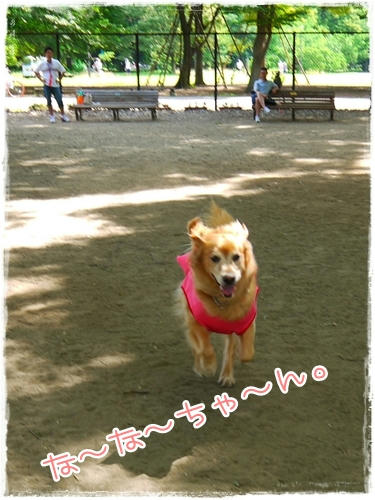 な～な～ちゃ～ん。