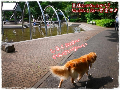 じゃぶんこ