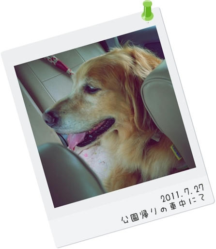かえりみち