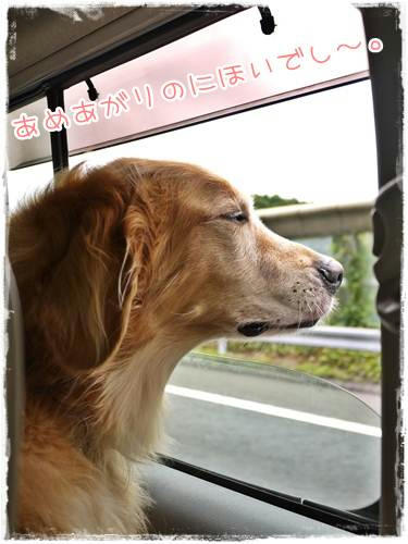 あめあがり
