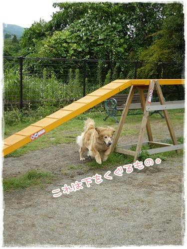 下をくぐるもの。