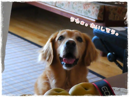 うわぁ