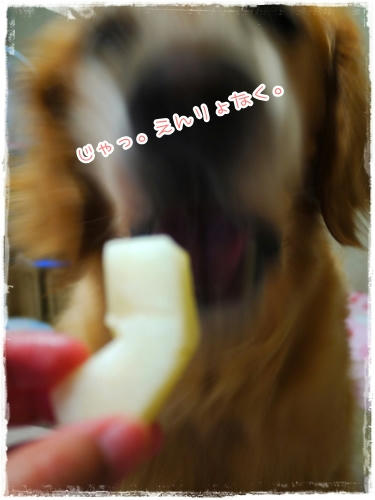 えんりょなく