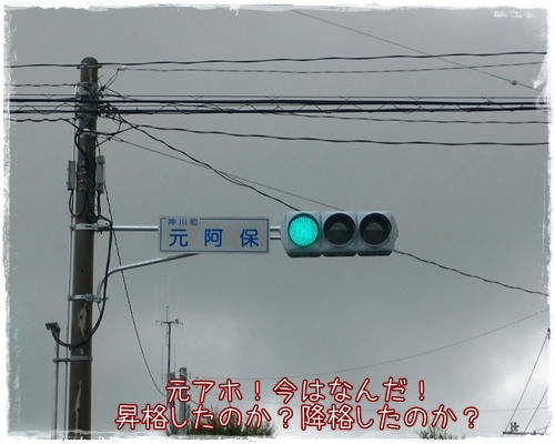 IMGP1383.JPG