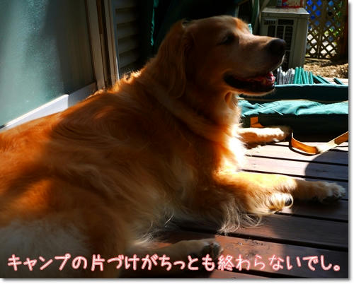 P1020193.JPG