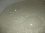 2010_02020021.JPG