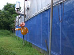 DSCF0148.JPG