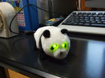 DSCF0204.JPG