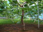 DSCF0249.JPG