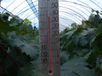 DSCF0336.JPG