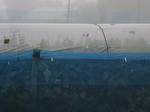 DSCF0345.JPG