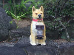 DSCF0370.JPG