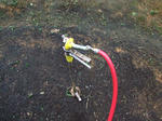 DSCF0386.JPG