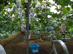 DSCF0416.JPG