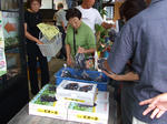 DSCF0435.JPG