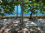DSCF0455.JPG