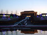 DSCF0503.JPG