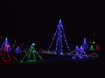 DSCF0511.JPG