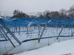 DSCF0541.JPG