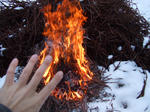 DSCF0550.JPG