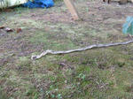 DSCF0755.JPG