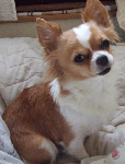 2ec9c6f4.gif