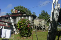 DSC07203.JPG