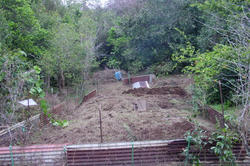 DSC07555.JPG