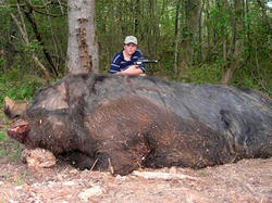 ap_hogzilla_070525_ms.jpg