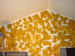 DSC08422.gif