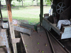 DSC08401.gif