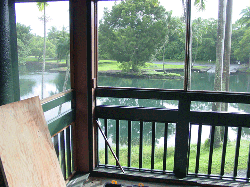 DSC08452.gif