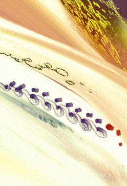 100809b.jpg