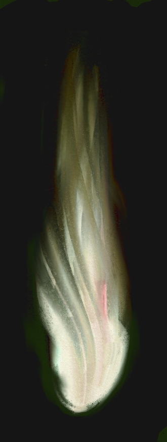 100810a.jpg